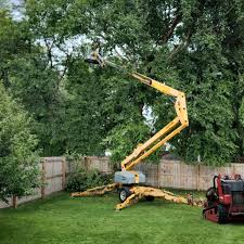 Best Lawn Maintenance Plans  in Liberty, PA
