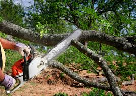 Best Lot and Land Clearing  in Liberty, PA