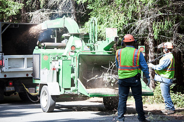 Best Aeration Services  in Liberty, PA